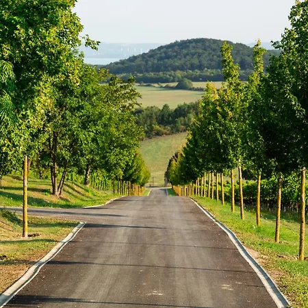 Sentio Estate At Balaton Villa *