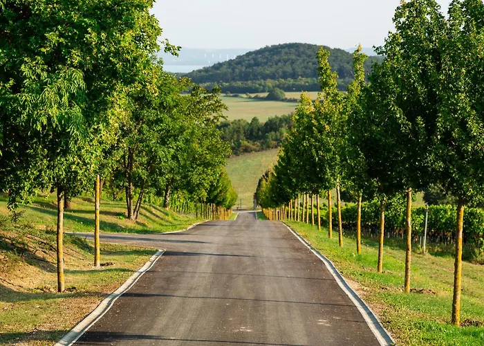 Sentio Estate At Balaton Villa *